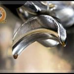 کافی شاپ پاییز ۹۸