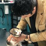 کلینیک دامپزشکی و پت شاپ گیلانا