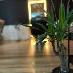 آرایشگاه هشت - بندر انزلی - 6834