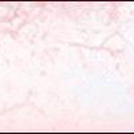 دکتر بنفشه علایی