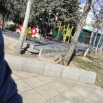 سرویس بهداشتی بوستان لادن