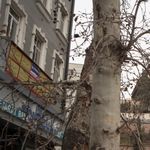 بیمه اسیا کد ۹۸۰