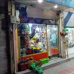 خانه گل قم