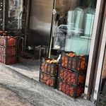 غذای آماده هانی نوین