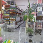 فروشگاه بلبرینگ مصفا