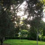 باشگاه بانک مرکزی - ضرابخانه