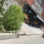 سوپر میوه امیر