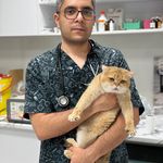 کلینیک دامپزشکی و پانسیون تخصصی گربه