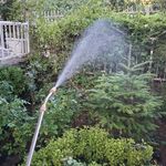 مهران کریمی