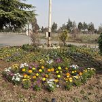 مهران کریمی