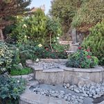 مهران کریمی