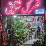 قصر گل شقایق