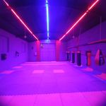 مجموعه ورزشی شهدا باشگاه استار اسپورت