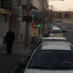 تخمه آفتابگردان پارک