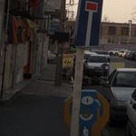 تخمه آفتابگردان پارک
