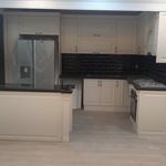 علیرضا افشاری