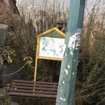 پارکینگ گلستان