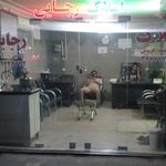 املاک درخشان