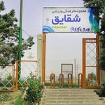 زمین شقایق