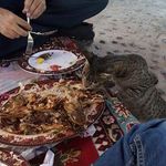 رستوران ساحلی بندر ترکمن