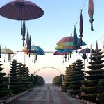 رستوران ساحلی بندر ترکمن