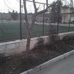 زمین چمن مصنوعی