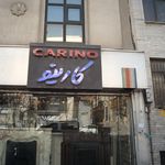 دکتر نفیسه فریدونی