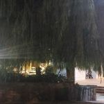 بوستان بنادر