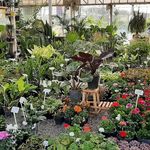 دهکده گل ایرانیان