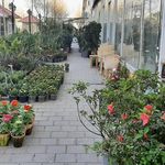 دهکده گل ایرانیان