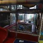 رستوران ارکیده