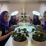 آموزشگاه و سالن زیبایی حدیث ذکی پور