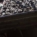 فروشگاه لوله و لوازم داربست عرشیا