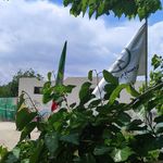مرکز جامع درمان ارشیا