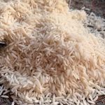 برنج طارم هاشمی انتظاری