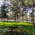 بوستان سلام