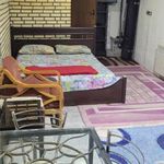 ژینو