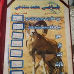 کله پزی محمد سنندجی