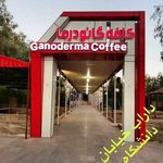 کافه گانودرما