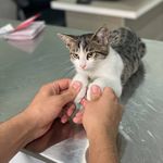 راگا وت کلینیک(ویزیت در محل)