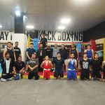 کلاب بوکس شاهین