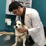 کلینیک دامپزشکی و پت شاپ گیلانا