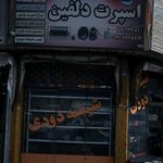 اسپرت دلفین