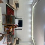 محمد ابراهیمی علیار