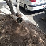 لوله کش حسن شهرکی