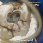 دکتر نیما موسوی نسب