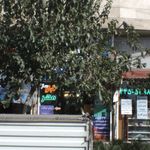 باسکول عمومی شبانه روزی