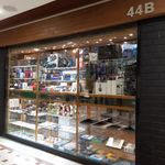 رایانه پویا