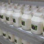 لبنیات سنتی لاهوت سید