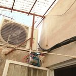 امید امانی کلیشمی